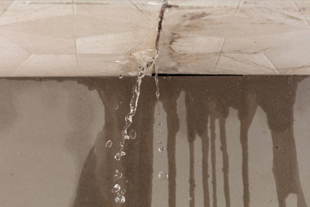 Professional Water Damage Repair technician working in Canton, MI